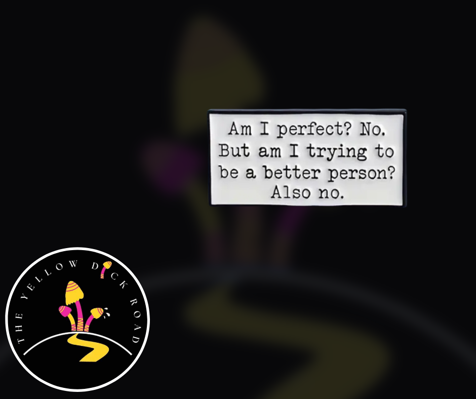 Am I Perfect? No. Pin